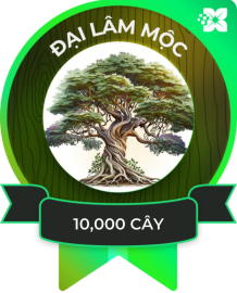 đại lâm 10000