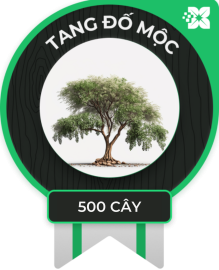 tang đố 500