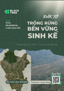 thông báo chiến dịch Đăk Tô