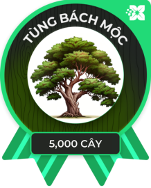 tùng bách 5000